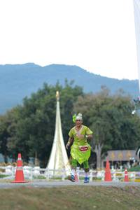 BIB: 
                            <button type="button" onclick="openModal(27853908)" class="btn btn-primary btn-sm float-right btn-popup" data-toggle="modal" data-target=".modal-high-quality">
                        <i class="fas fa-shopping-cart"></i> Add to Cart
                    </button>
                                            <button type="button" onclick="isThisMe(27853908, true)" class="btn btn-success btn-sm float-right btn-popup btn-isme hidden" data-toggle="tooltip" data-placement="bottom" title="นี่คือรูปของคุณใช่ไหม คลิกที่นี่เพื่อเอาเข้าอัลบั้ม">
                        <i class="fas fa-plus"></i> Add to album
                    </button>
                    <button type="button" onclick="isThisMe(27853908, false)" class="btn btn-warning btn-sm float-right btn-popup btn-isnotme hidden">
                        <i class="fas fa-ban"></i> Remove from album
                    </button>